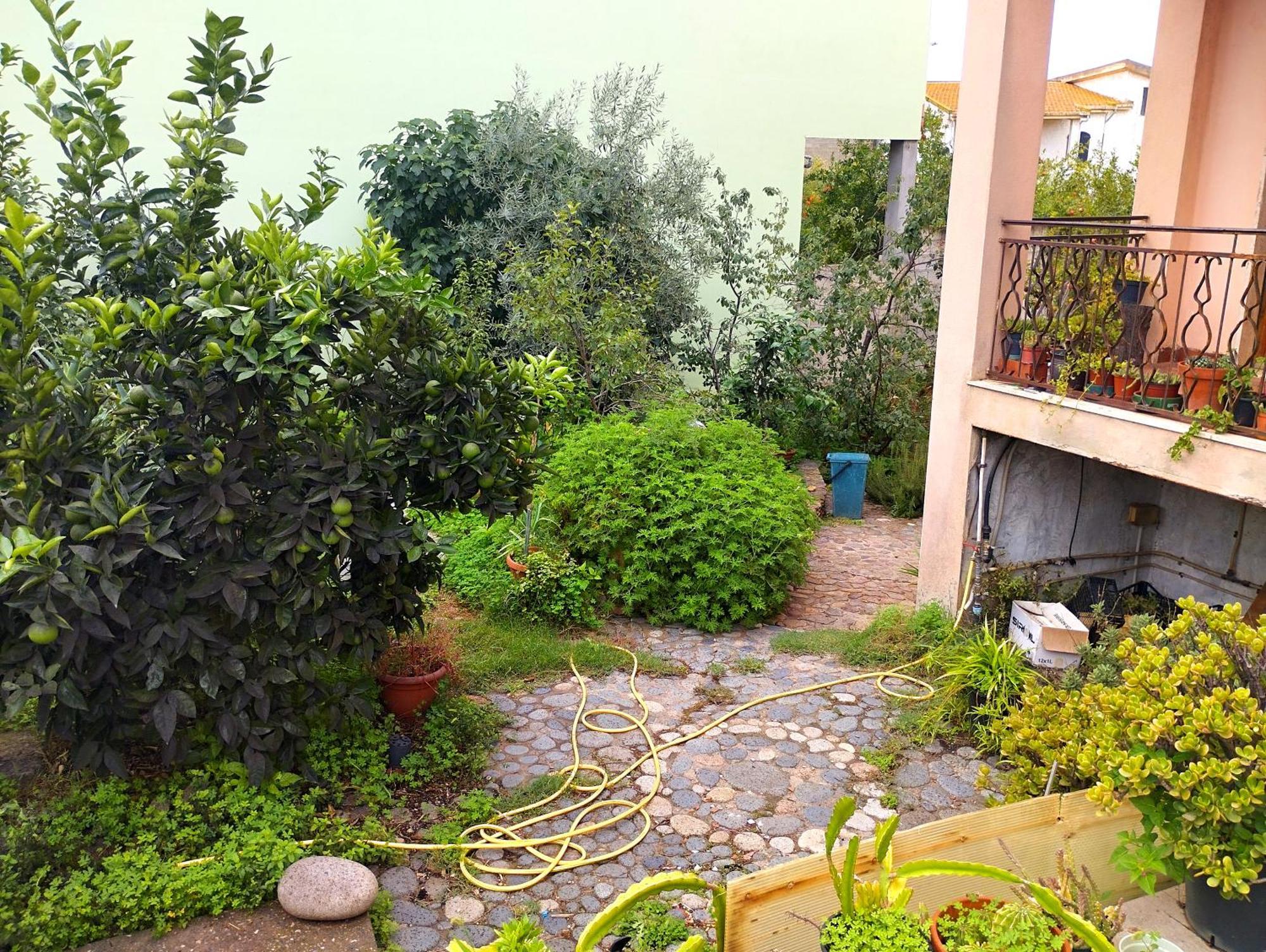 Villa Petrarca Siliqua Bagian luar foto